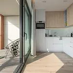 Morskie Widoki Natural Baltic Апартаменты Дарлувко